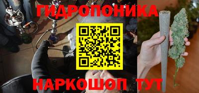 эйфоретик Гусь-Хрустальный