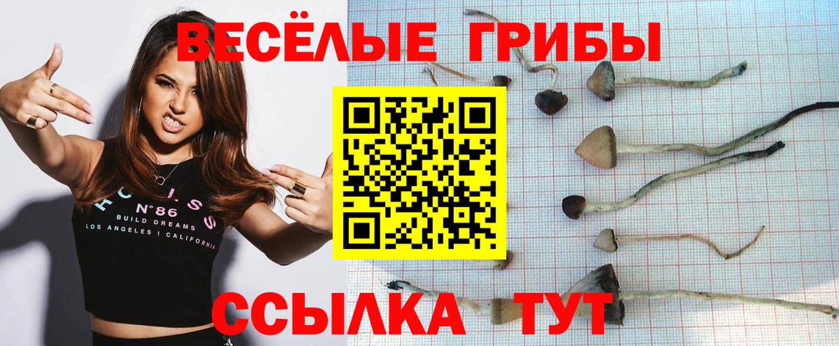 Галлюциногенные грибы Magic Shrooms Лангепас